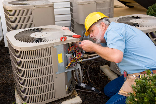 Best Local HVAC Companies  in Vicksburg, MI